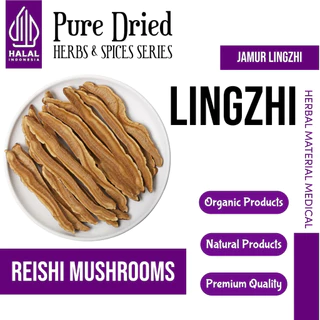 ELIF TEA Lingzhi Tea : Lingzhi Reishi Ganoderma Lucidum Tea