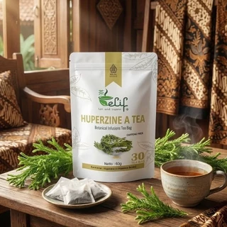 ELIF TEA AND TISANE Huperzine A Tea | Daya Ingat Focus Kecerdasan Huperzia Serrata | 30 Tea Bag
