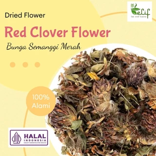 ELIF TEA Red Clover FLower Tea : Pure Organic Red Clover Flower Petals Tea