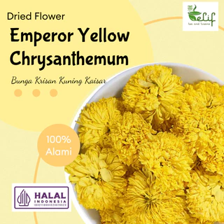 ELIF TEA Emperor Yellow Chrysanthemum Tea : Teh Bunga Krisan Kuning Kaisar