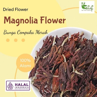 ELIF TEA Magnolia Flower Tea Flos Magnoliae Teh Bunga Magnolia