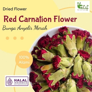 ELIF TEA Red Carnation Flowers Tea / Dianthus Caryophyllus / Teh Bunga Anyelir