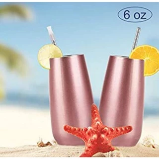 Stainless Steel Double Wall Insulated Champagne Flute 180ml