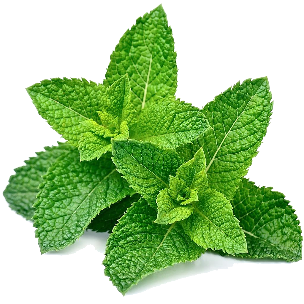 Dried Herbs and Spices